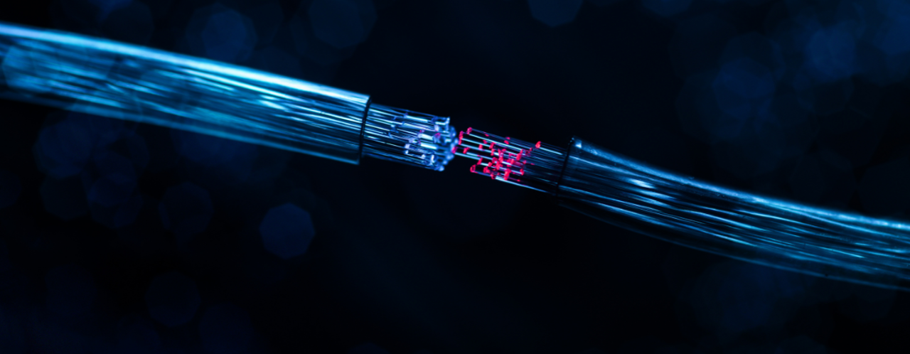 Shiny fiber optic cables connecting in the dark, one end is blue and the other end is red.
