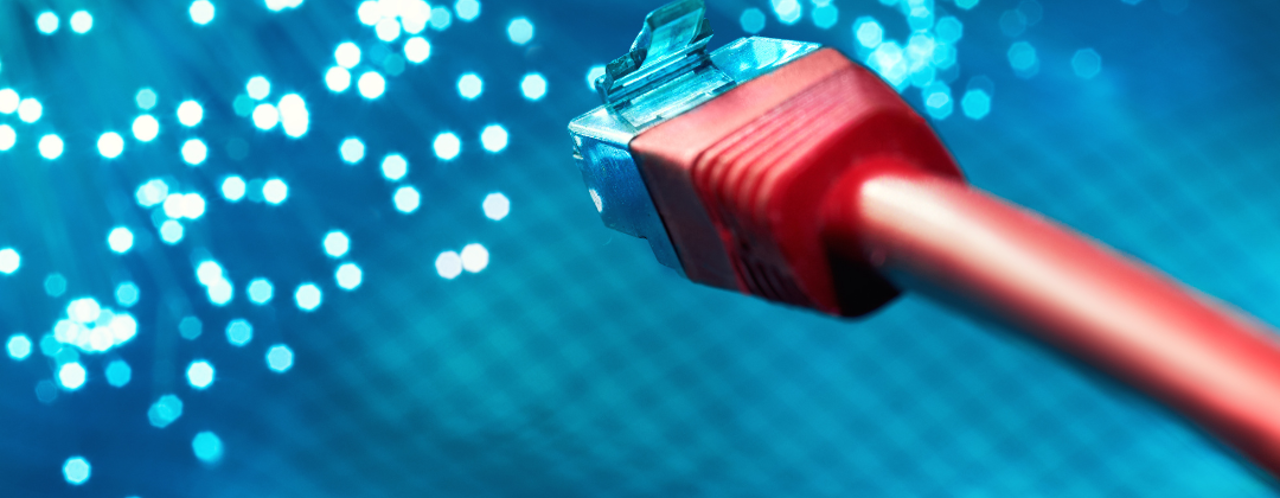 Red-bordered network cable with a transparent connector, against a background of blue light reflections.