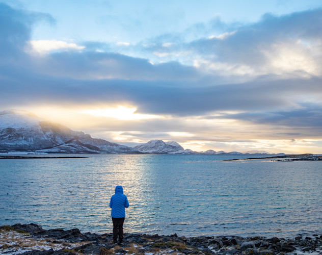 A person in a blue coat gazes out over a serene, frozen bay under a cloudy sky with sunlight in the distance.