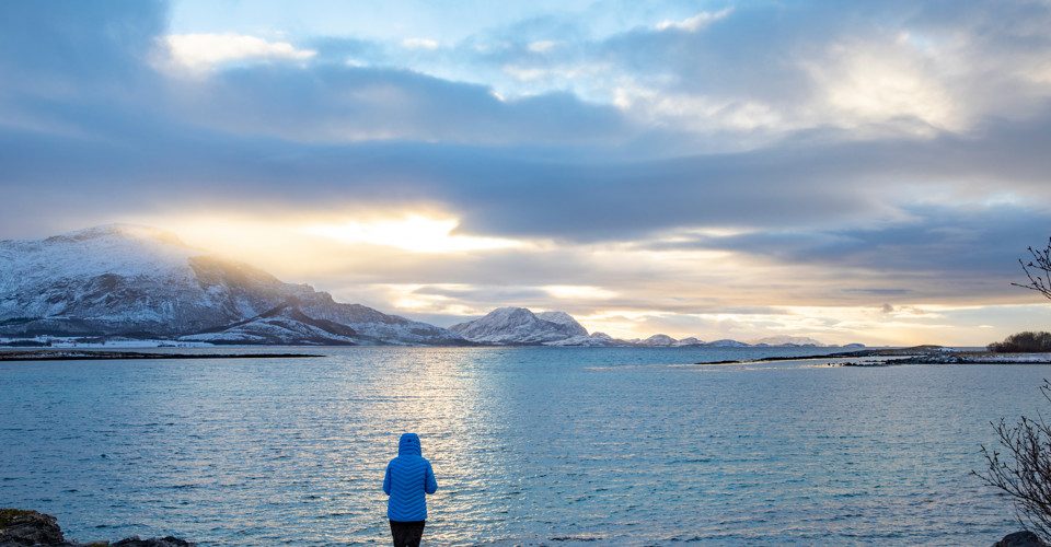 A person in a blue coat gazes out over a serene, frozen bay under a cloudy sky with sunlight in the distance.