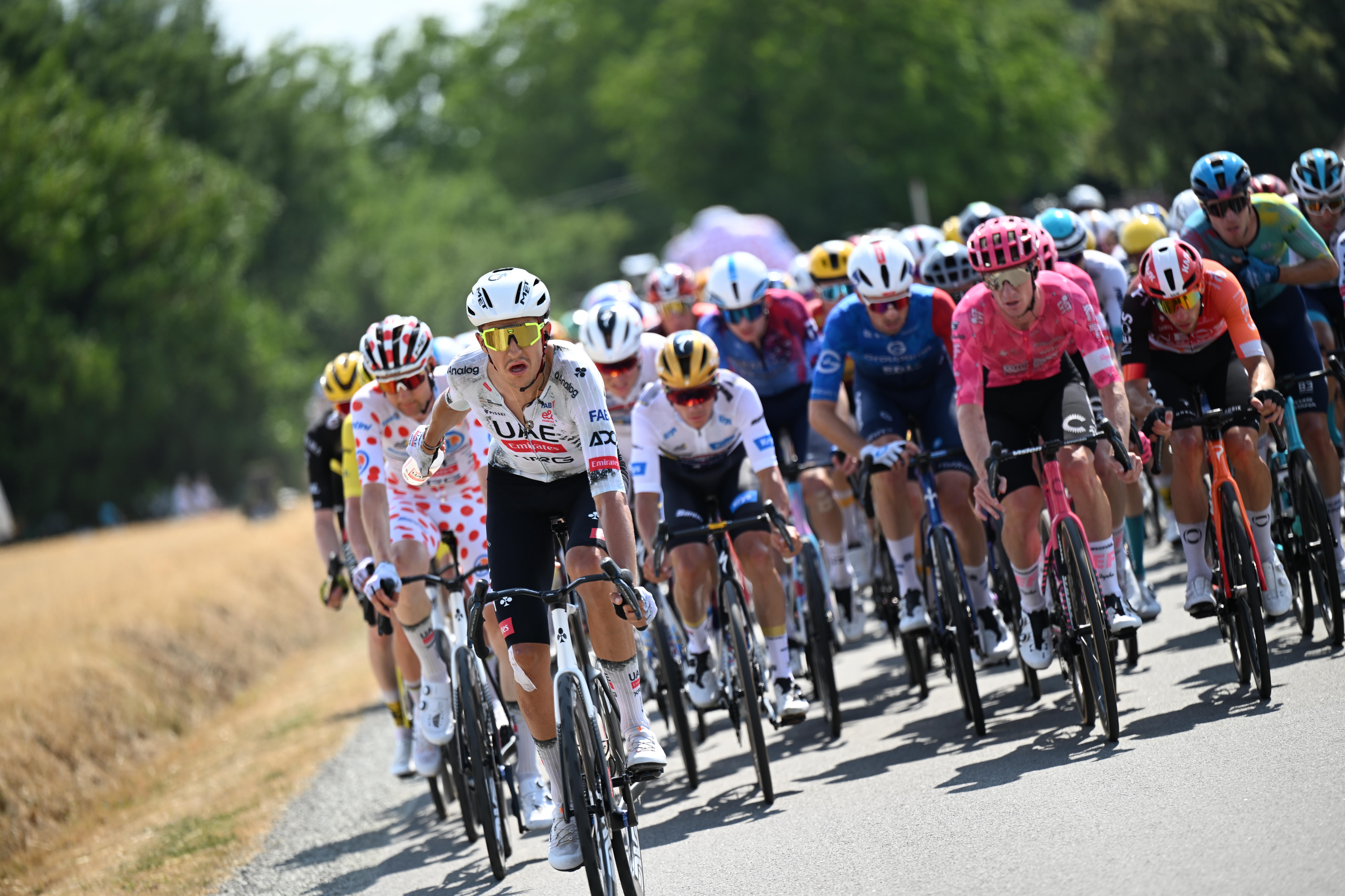 A peloton of cyclists in a sunny landscape, featuring some riders in vibrant outfits and a serene backdrop of trees.