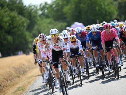 A peloton of cyclists in a sunny landscape, featuring some riders in vibrant outfits and a serene backdrop of trees.