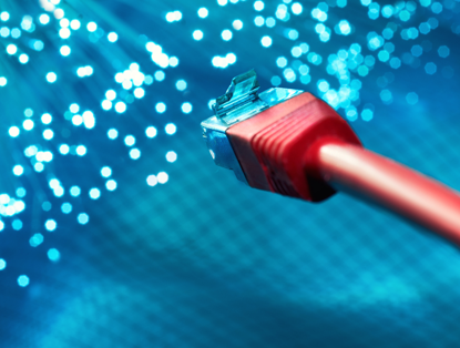 Fiber